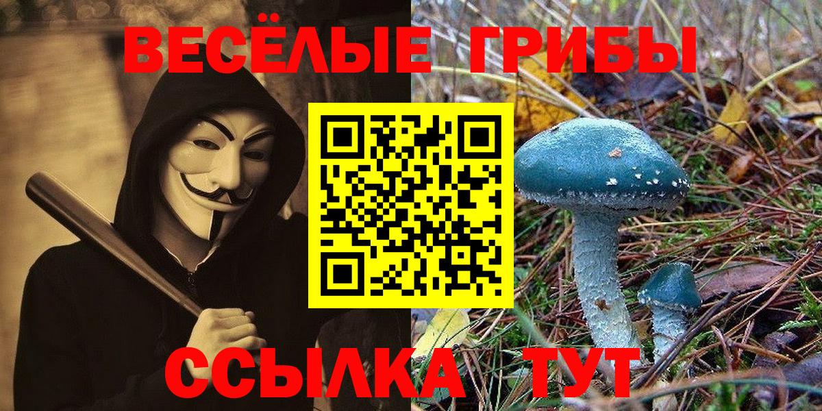 Йошкар-Ола  Псилоцибиновые грибы мицелий  Вход с VPN 